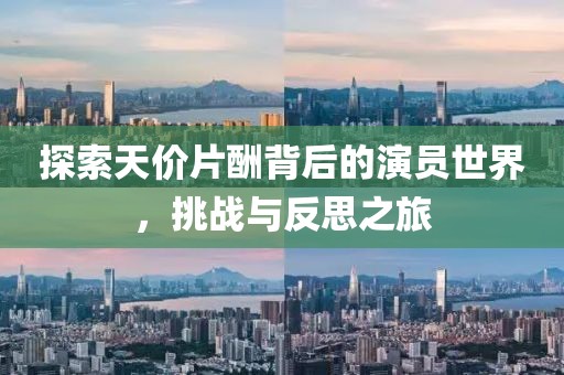 探索天价片酬背后的演员世界，挑战与反思之旅