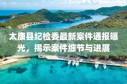 太康县纪检委最新案件通报曝光，揭示案件细节与进展