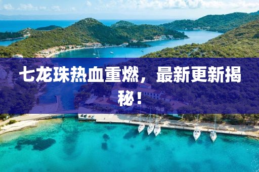 七龙珠热血重燃，最新更新揭秘！