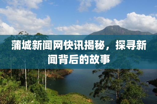 蒲城新闻网快讯揭秘，探寻新闻背后的故事