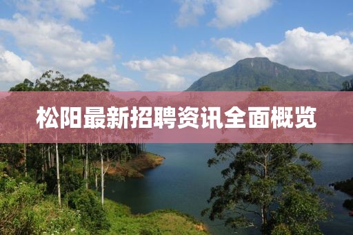 松阳最新招聘资讯全面概览
