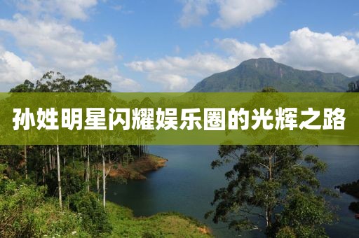 孙姓明星闪耀娱乐圈的光辉之路