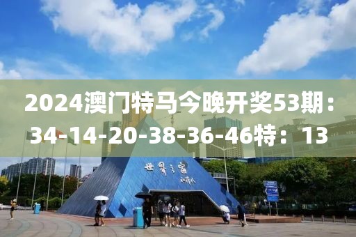 2024澳门特马今晚开奖53期：34-14-20-38-36-46特：13