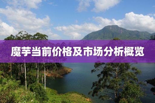 魔芋当前价格及市场分析概览