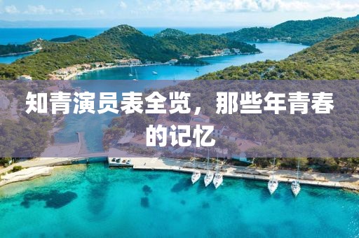 知青演员表全览，那些年青春的记忆