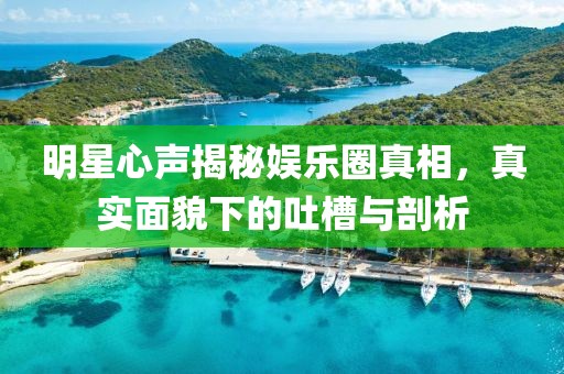明星心声揭秘娱乐圈真相，真实面貌下的吐槽与剖析