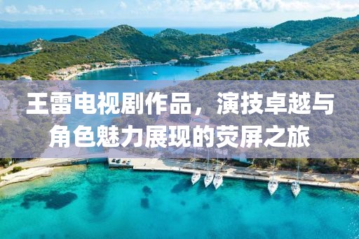 王雷电视剧作品，演技卓越与角色魅力展现的荧屏之旅