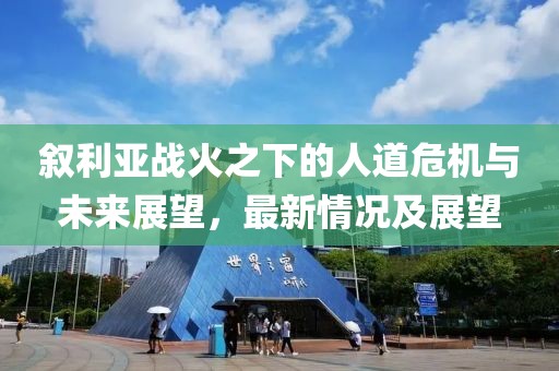 叙利亚战火之下的人道危机与未来展望，最新情况及展望
