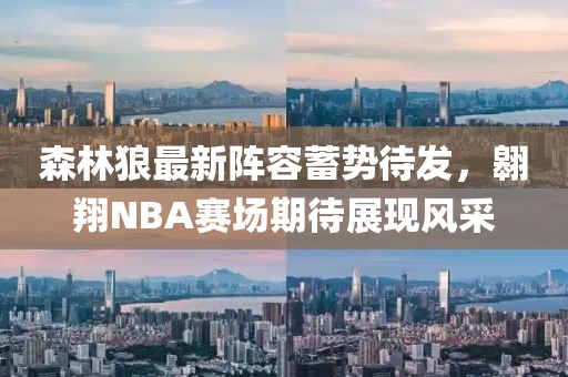 森林狼最新阵容蓄势待发，翱翔NBA赛场期待展现风采