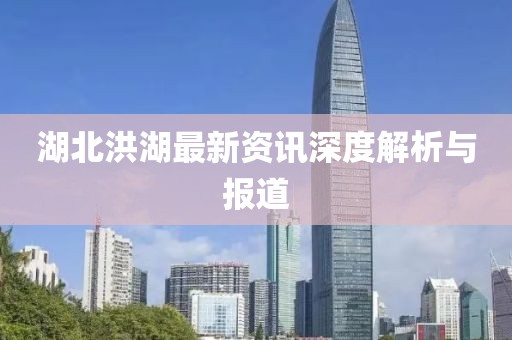 湖北洪湖最新资讯深度解析与报道