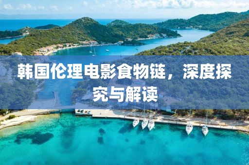 韩国伦理电影食物链，深度探究与解读