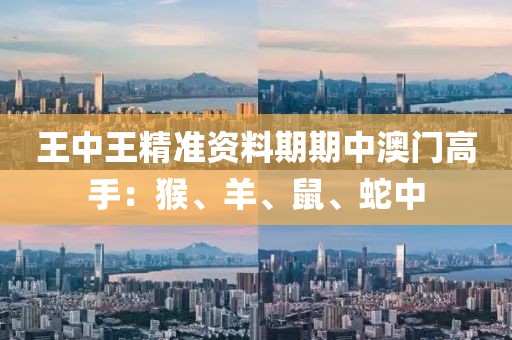 王中王精准资料期期中澳门高手：猴、羊、鼠、蛇中