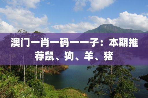 澳门一肖一码一一子：本期推荐鼠、狗、羊、猪