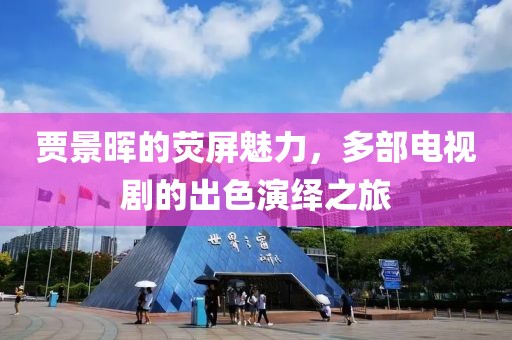 贾景晖的荧屏魅力，多部电视剧的出色演绎之旅