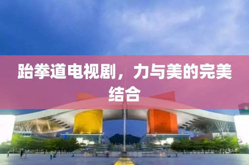 跆拳道电视剧，力与美的完美结合