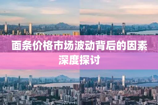 面条价格市场波动背后的因素深度探讨