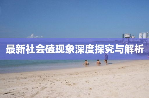 最新社会磕现象深度探究与解析