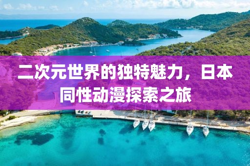 二次元世界的独特魅力，日本同性动漫探索之旅