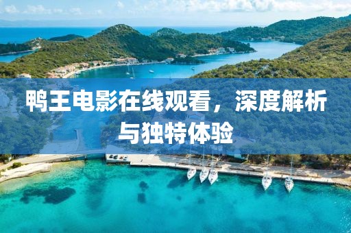 鸭王电影在线观看，深度解析与独特体验