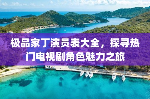 极品家丁演员表大全，探寻热门电视剧角色魅力之旅