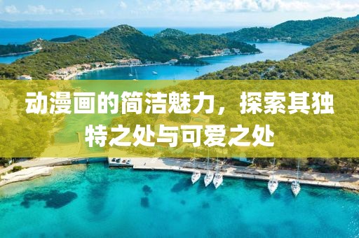 动漫画的简洁魅力，探索其独特之处与可爱之处