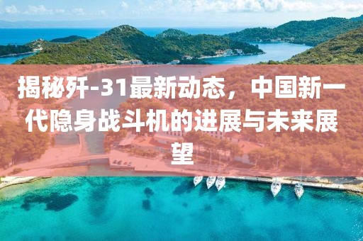 揭秘歼-31最新动态，中国新一代隐身战斗机的进展与未来展望