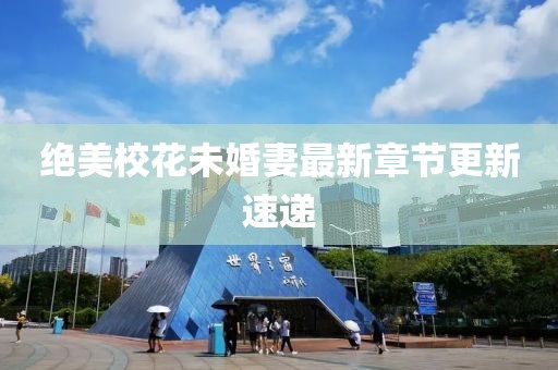 绝美校花未婚妻最新章节更新速递