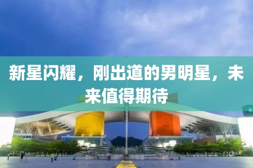新星闪耀，刚出道的男明星，未来值得期待