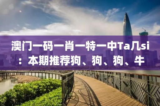澳门一码一肖一特一中Ta几si：本期推荐狗、狗、狗、牛