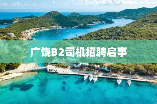 广饶B2司机招聘启事
