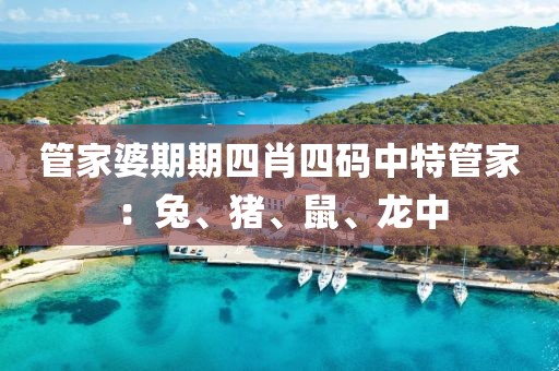 管家婆期期四肖四码中特管家：兔、猪、鼠、龙中