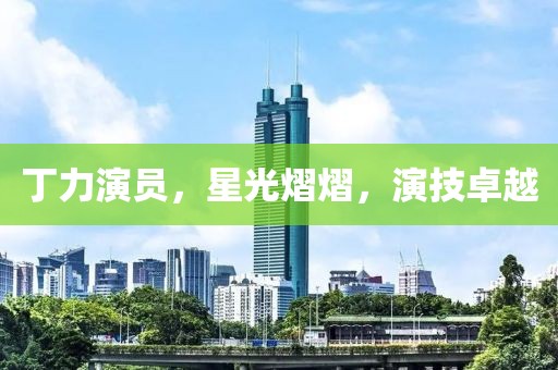 丁力演员，星光熠熠，演技卓越