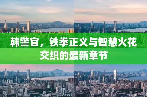 韩警官，铁拳正义与智慧火花交织的最新章节