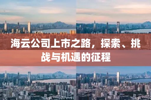 海云公司上市之路，探索、挑战与机遇的征程