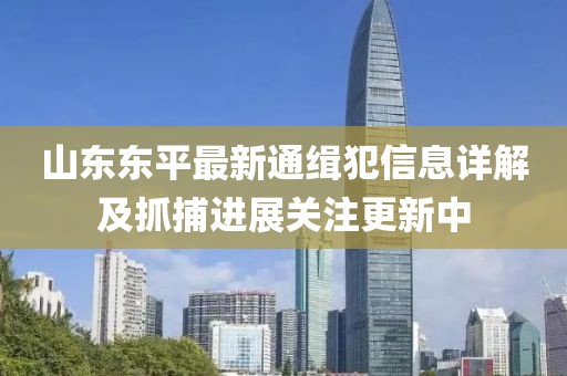 山东东平最新通缉犯信息详解及抓捕进展关注更新中