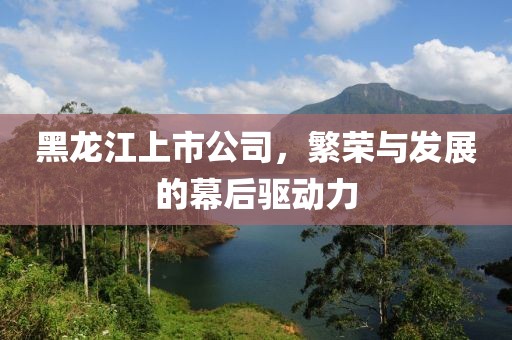黑龙江上市公司，繁荣与发展的幕后驱动力