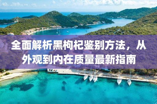 全面解析黑枸杞鉴别方法，从外观到内在质量最新指南