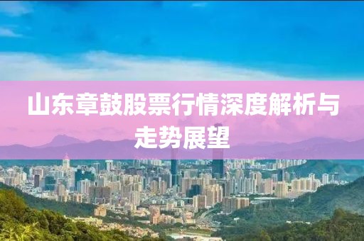 山东章鼓股票行情深度解析与走势展望