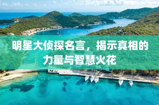 明星大侦探名言，揭示真相的力量与智慧火花