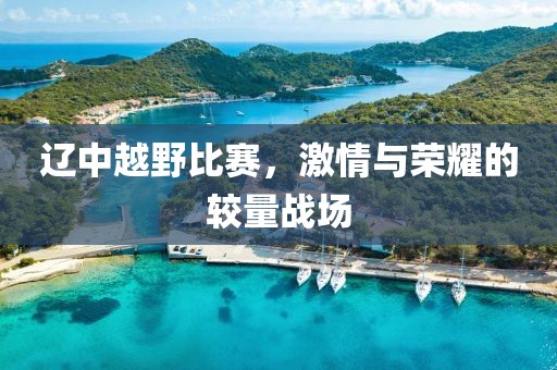 辽中越野比赛，激情与荣耀的较量战场