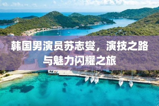 韩国男演员苏志燮，演技之路与魅力闪耀之旅