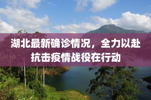 湖北最新确诊情况，全力以赴抗击疫情战役在行动