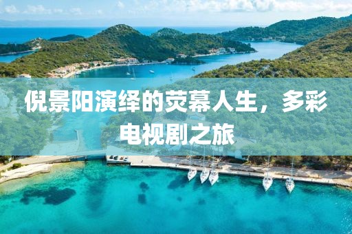 倪景阳演绎的荧幕人生，多彩电视剧之旅