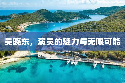 吴晓东，演员的魅力与无限可能