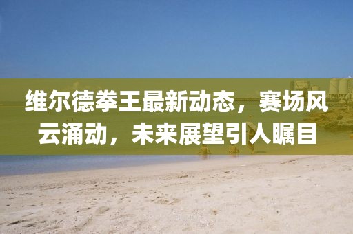 维尔德拳王最新动态，赛场风云涌动，未来展望引人瞩目