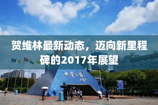 贺维林最新动态，迈向新里程碑的2017年展望
