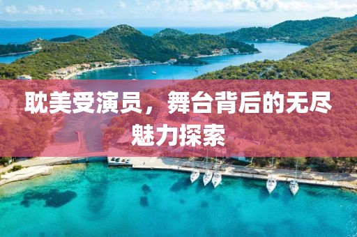 耽美受演员，舞台背后的无尽魅力探索