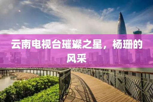 云南电视台璀璨之星，杨珊的风采