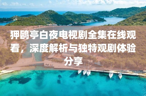 狎鸥亭白夜电视剧全集在线观看，深度解析与独特观剧体验分享