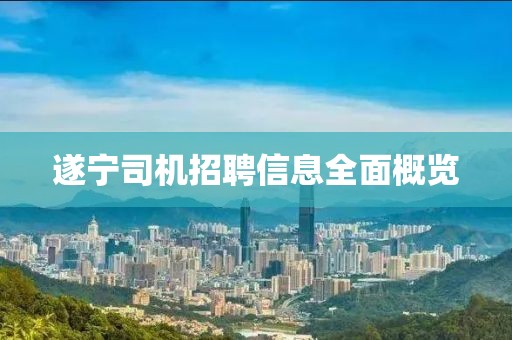 遂宁司机招聘信息全面概览
